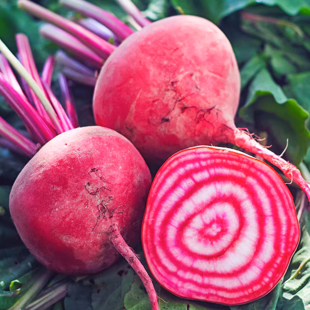Beetroot 'Chioggia Pink'